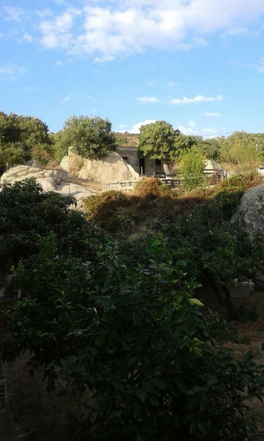 La Collina Dei Ciliegi Bed & Breakfast Sarule Bagian luar foto