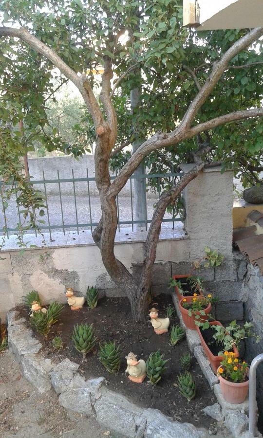 La Collina Dei Ciliegi Bed & Breakfast Sarule Bagian luar foto